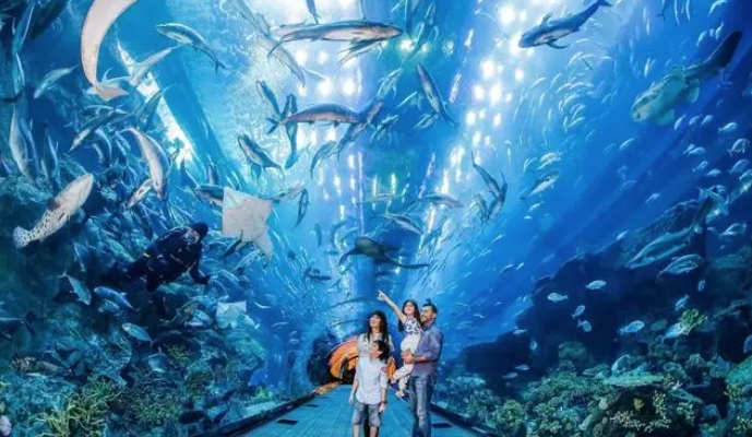 保加利亚水族馆的公园