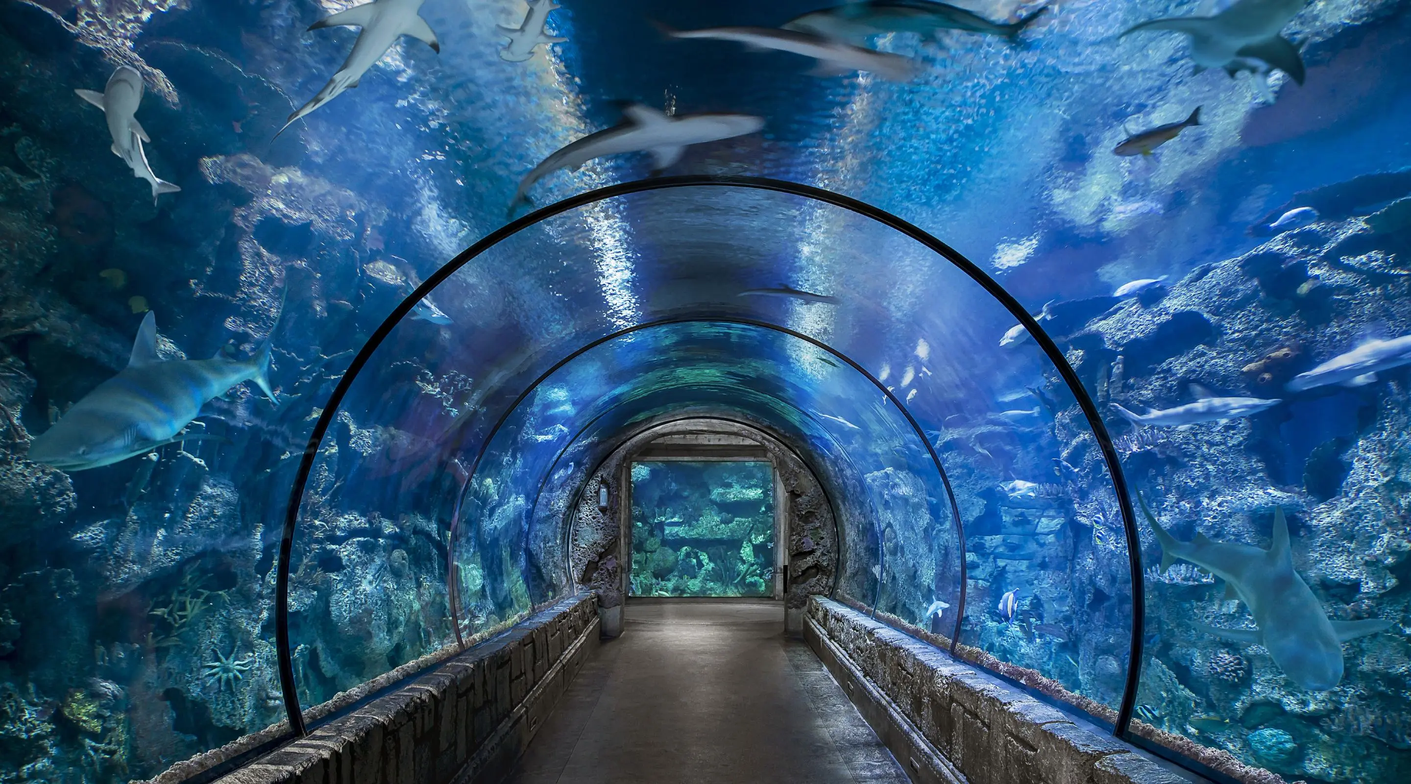 乌克兰国家水族馆公园